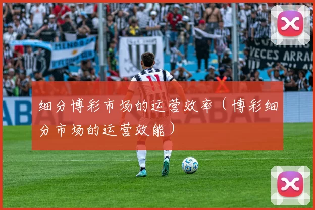 细分博彩市场的运营效率（博彩细分市场的运营效能）