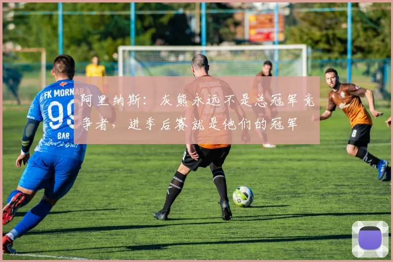 阿里纳斯：灰熊永远不是总冠军竞争者，进季后赛就是他们的冠军