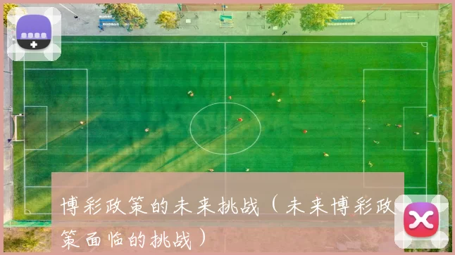 博彩政策的未来挑战（未来博彩政策面临的挑战）