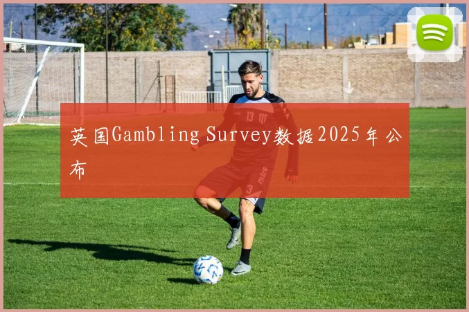 英国Gambling Survey数据2025年公布