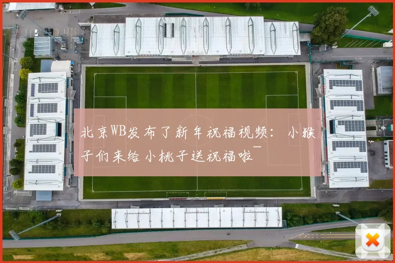 北京WB发布了新年祝福视频：小猴子们来给小桃子送祝福啦~