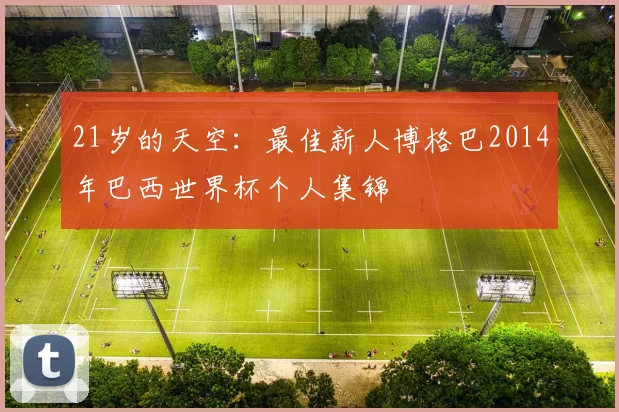 21岁的天空：最佳新人博格巴2014年巴西世界杯个人集锦