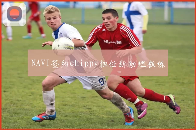 NAVI签约chippy担任新助理教练